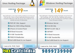 Website Hosting at Rs79 per month get FREE domain